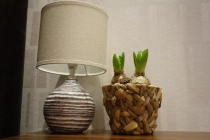 Apartment Lupáčova - image 11