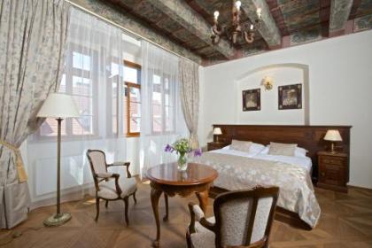 Residence U Mecenáše - image 13