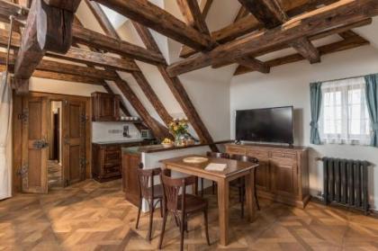Residence U Mecenáše - image 15