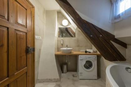 Residence U Mecenáše - image 20