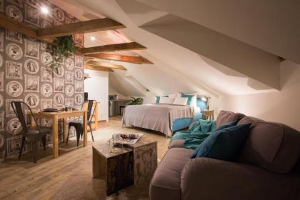 Gigantic Anenska Penthouse - image 3