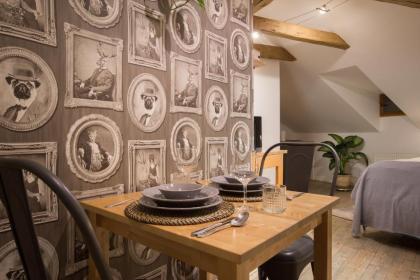 Gigantic Anenska Penthouse - image 4