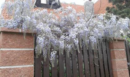 Penzion u Ježků - image 16