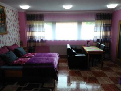 Apartmán blizko centra Prahy - image 14