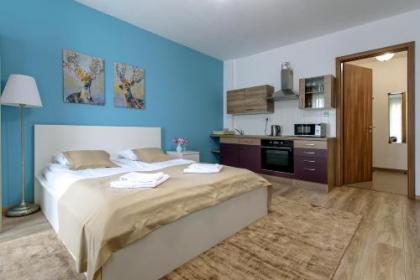 Residence Dobrovskeho 30 - image 5