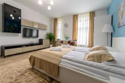 Residence Dobrovskeho 30 - image 7