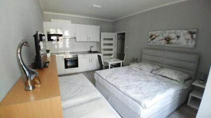 City apartment Slezská - image 19