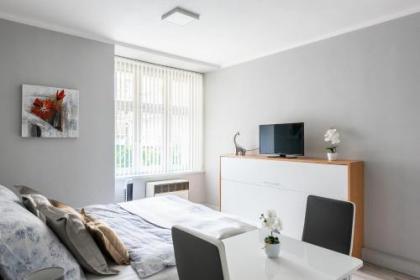 City apartment Slezská - image 5