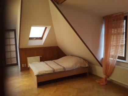 Fairy-tale Prague from Lev i Sova - image 13