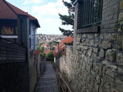 Fairy-tale Prague from Lev i Sova - image 17