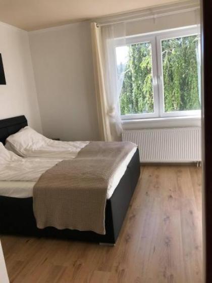 Fresh house - image 16