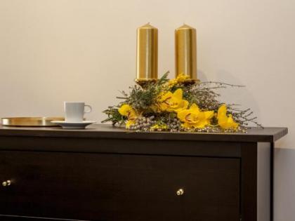 Golden Prague Rooms - image 19