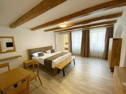 Historic Centre Aparthotel X - image 14