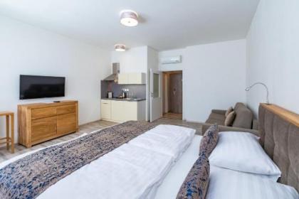 Historic Centre Aparthotel X - image 4