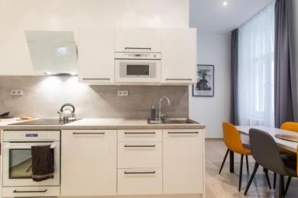 Spacious Apartments near the river - image 16