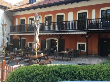 Pension Větrník - image 11