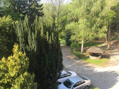 Pension Větrník - image 4