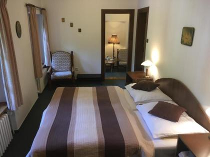 Pension Větrník - image 6
