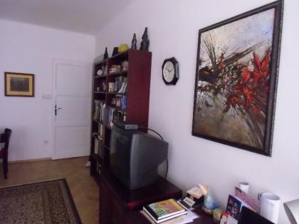 A local experience - image 3
