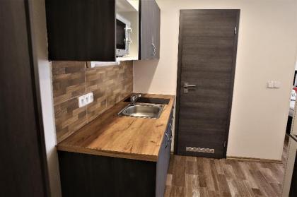 CLAUDIA Apartment 5 ( Center Praha 1) - image 2