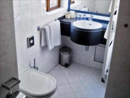 Hotel U 3 Pstrosu - image 4