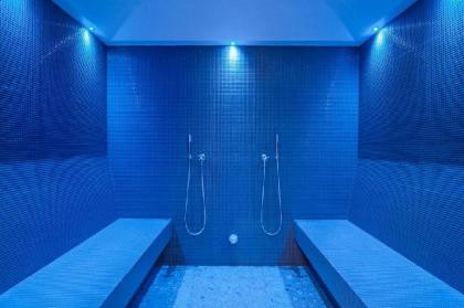 Hotel Royal Prague - image 3